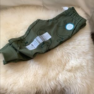 Carter’s sweat pants size 2T color green